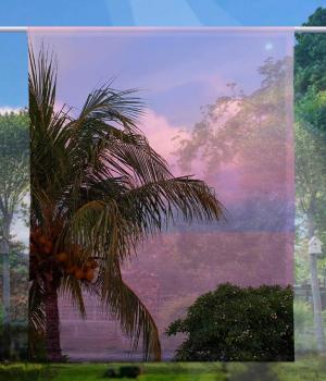 Bali-Palmenpracht, Scheibenhänger, eckig
